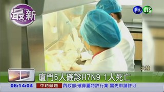 廈門5人確診H7N9 1人死亡