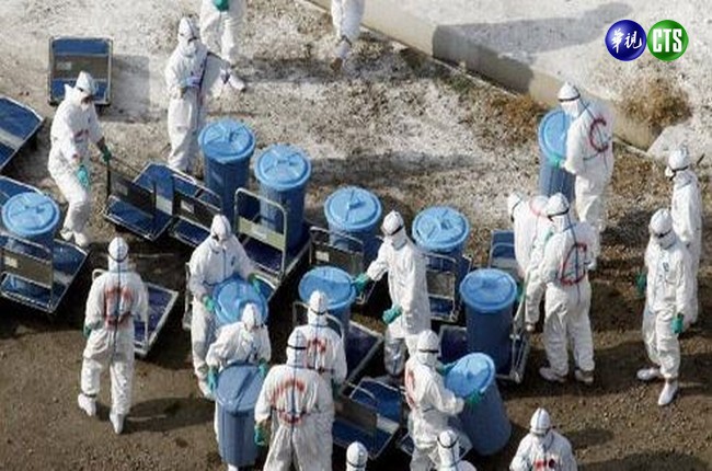 禽流感不止台灣 日本再傳禽流疫情 | 華視新聞