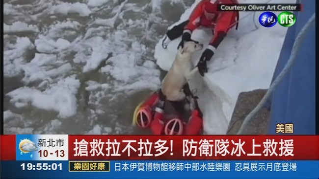 冰上救援! 拉不拉多犬險凍僵 | 華視新聞