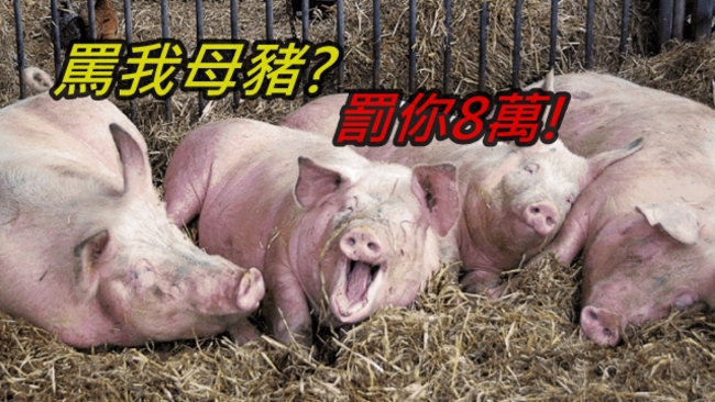 罵「妳胖的跟母豬一樣」 嘴炮罰8萬 | 華視新聞