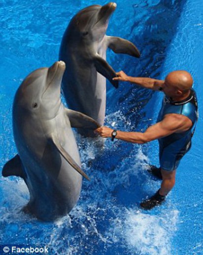 遭控虐海豚 訓練員自殺身亡 | 