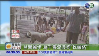台南獨步 為千隻流浪狗"找頭路"