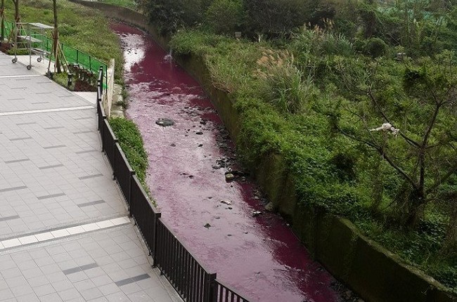 超紫的 桃園大排水溝遭排汙水變色 | 華視新聞