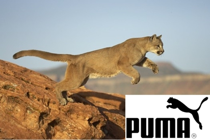 JUST DO IT! Nike:來自殺人犯遺言 | PUMA標誌的真實身分「美洲獅」
