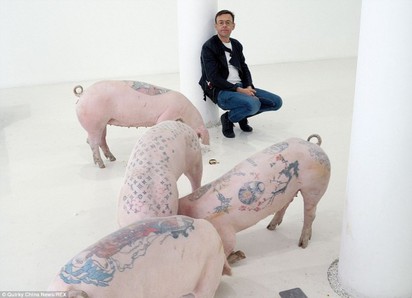藝術!?紋身豬 身價飆到500萬 | 比利時藝術家Wim Delvoye與他的創作豬