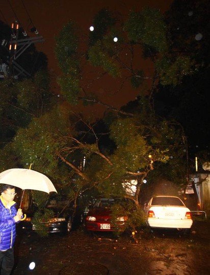 【華視起床號】 北市大樹鬆脫倒塌4車遭壓毀 | 