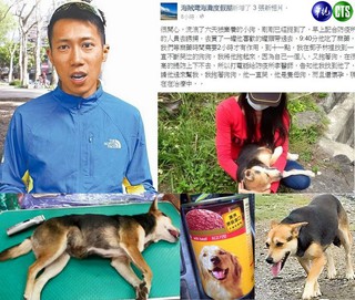 陳彥伯直擊的棄犬獲救 狗狗懷孕了