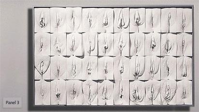 妳是最美的! 藝術家打造「陰道之牆」 | 400位女性的陰道模型