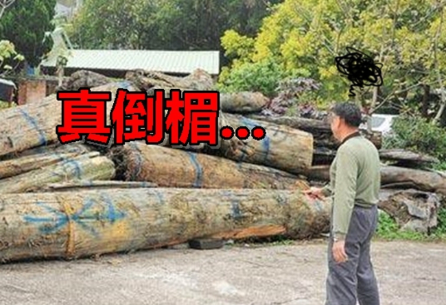 委屈! 漂流木事件終 基層背黑鍋 | 華視新聞