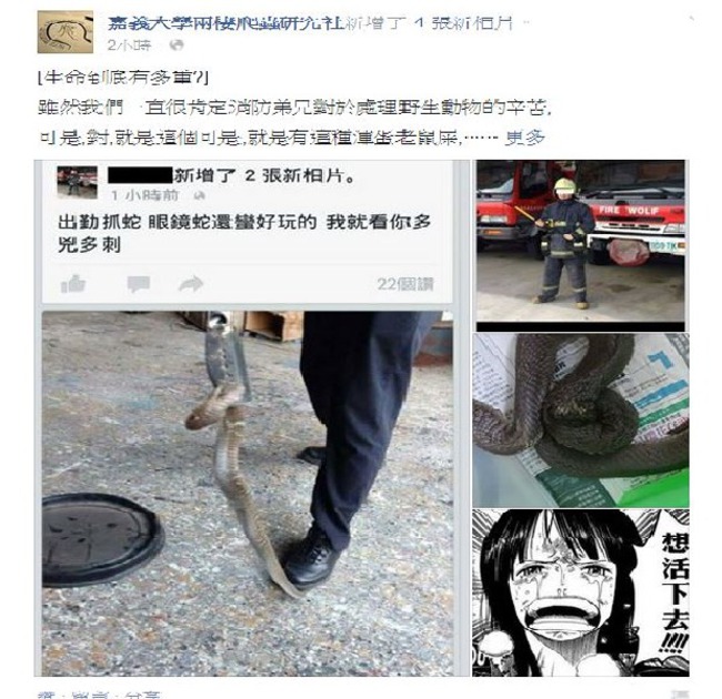 抓蛇PO炫文 消防員辛苦捉蛇被打臉 | 華視新聞