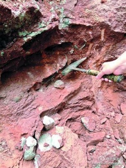 道路施工挖到寶 廣東發現43個恐龍蛋 | 