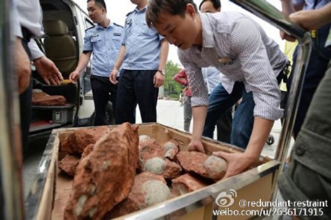 道路施工挖到寶 廣東發現43個恐龍蛋 | 華視新聞