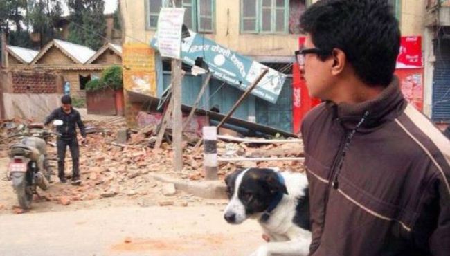 搶救尼泊爾動物 國際組織整裝待發 | 華視新聞