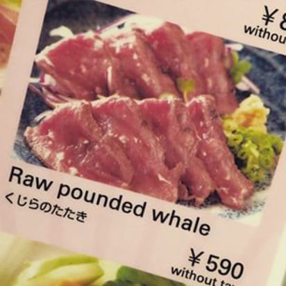 凱蒂佩芮今晚登場 炸翻小巨蛋 | 凱蒂佩芮東京遊時，表示絕對不吃海豚肉