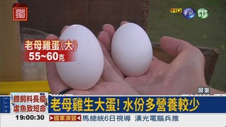 雞蛋別挑大顆 當心營養較少!