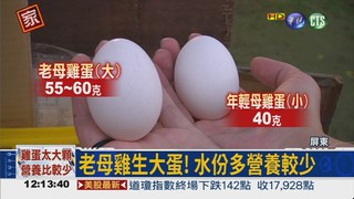 雞蛋別挑大顆 當心營養較少!