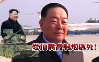 頂嘴金正恩 北韓武力部長遭「高射炮」處死