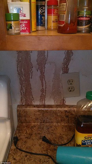 驚! 牆壁滲紅色汙垢 竟是鄰居的屍水