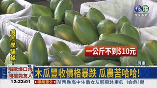 木瓜大豐收! 產地1斤嘸10元