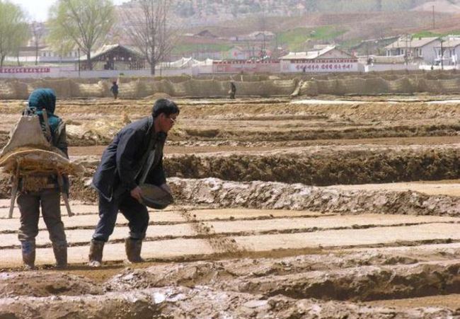 北韓遭逢百年大旱 糧食短缺恐惡化 | 華視新聞