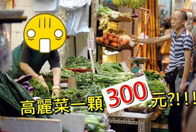吃不下去! 高麗菜一顆300元?! | 華視新聞