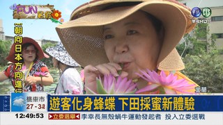 化身蜂蝶吸蜜 蓮花田園新玩法