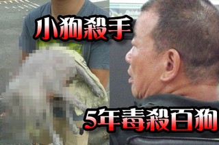 「小狗殺手!」 惡男5年毒殺百隻犬終被逮