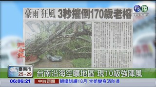 豪雨狂風 3秒摧倒170歲老榕樹
