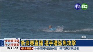 徒手擊退鯊魚 衝浪選手逃死劫