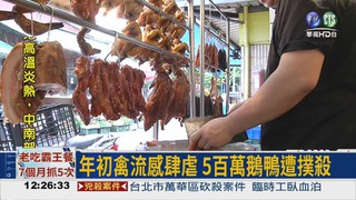 禽流感害缺貨 鵝肉店賣鴨肉