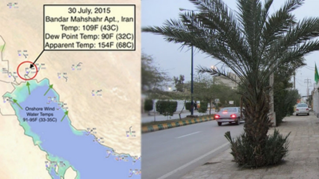 體感高溫67.8℃ 伊朗快破世界紀錄 | 華視新聞