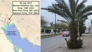 體感高溫67.8℃ 伊朗快破世界紀錄