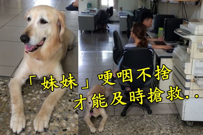 女子負氣尋短 愛犬哽咽助警及時搶救 | 華視新聞