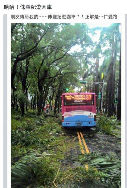 狂風暴雨後 這輛公車駛進了「侏羅紀公園」 | 