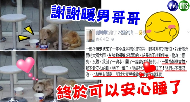 狗超商躲颱風 暖男店員這樣做 網友淚推! | 華視新聞