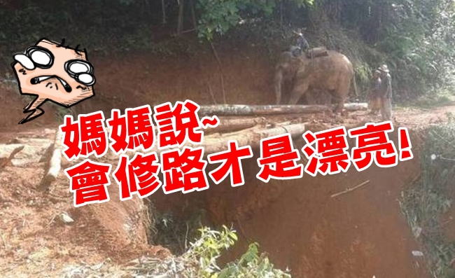 豪雨釀災! 泰國山區道路坍毀 出動大象搶修 | 華視新聞