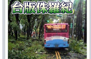 狂風暴雨後 這輛公車駛進了「侏羅紀公園」