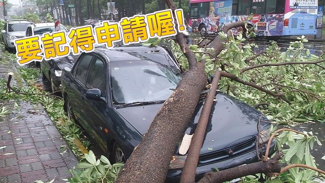 颱風災損 民眾可拍照申請減免 | 華視新聞