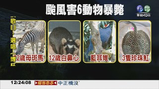 木柵動物園損失慘 6動物死亡