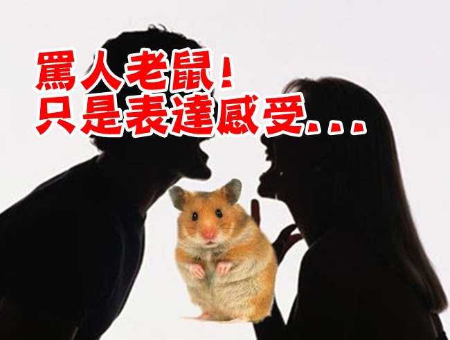 女罵人老鼠! 法官判「表達感受」不犯法 | 華視新聞