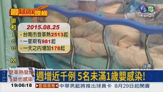 1週增近千例 台南5嬰登革熱