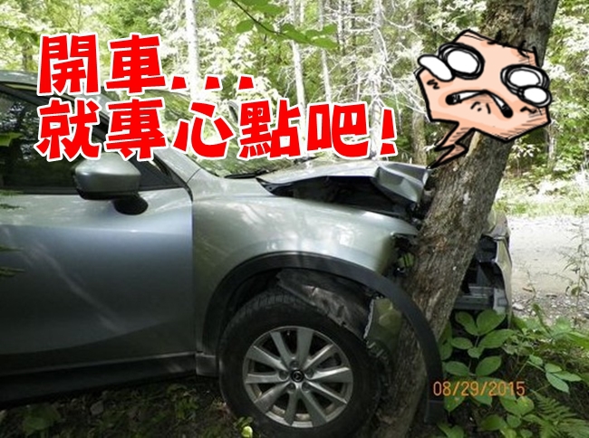 邊開車邊自拍! 男撞樹車上多人受傷… | 華視新聞