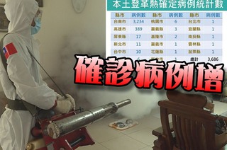 台南登革熱疫情嚴重 疑染病死亡達17人