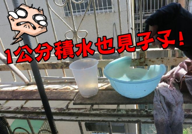 台南登革熱延燒! 1公分積水也有孑孓... | 華視新聞