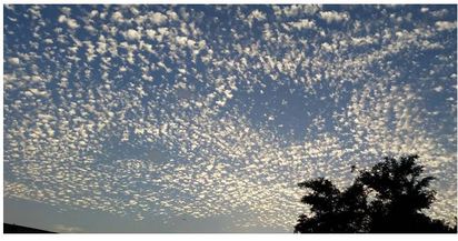 為何滿天棉花糖? | 9月9日下午台北的天空佈滿了高積雲黃昏更隨陽光的角度,呈現多樣面貌。