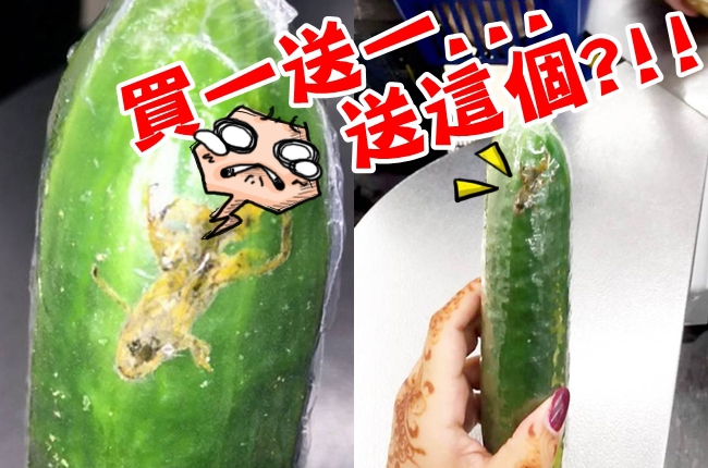 驚! 超市買黃瓜 竟送壓扁的青蛙 | 華視新聞