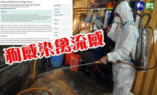 【華視最前線】禽流感變異 台大教授發現狗染H6N1