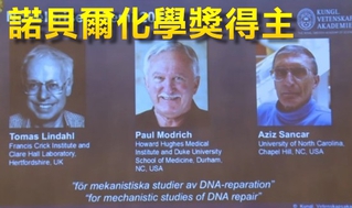 諾貝爾化學獎 3學者靠「修復DNA機制」獲獎
