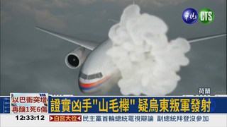 馬航MH17 遭俄製飛彈擊落
