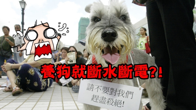 莫名其妙! 陸社區公告:養狗就斷水斷電? | 華視新聞